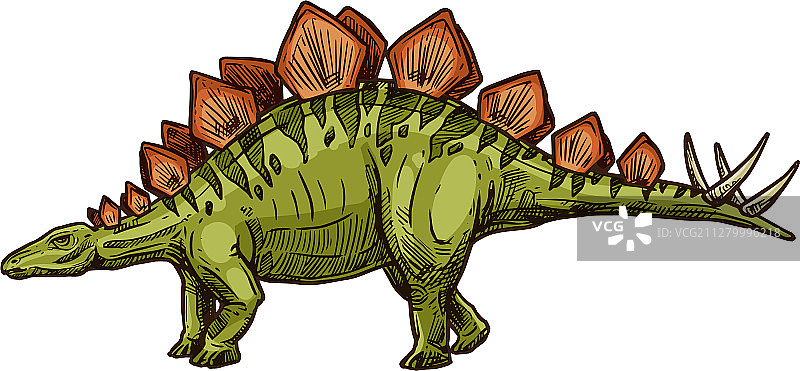 绿色剑龙灭绝动物恐龙图片素材