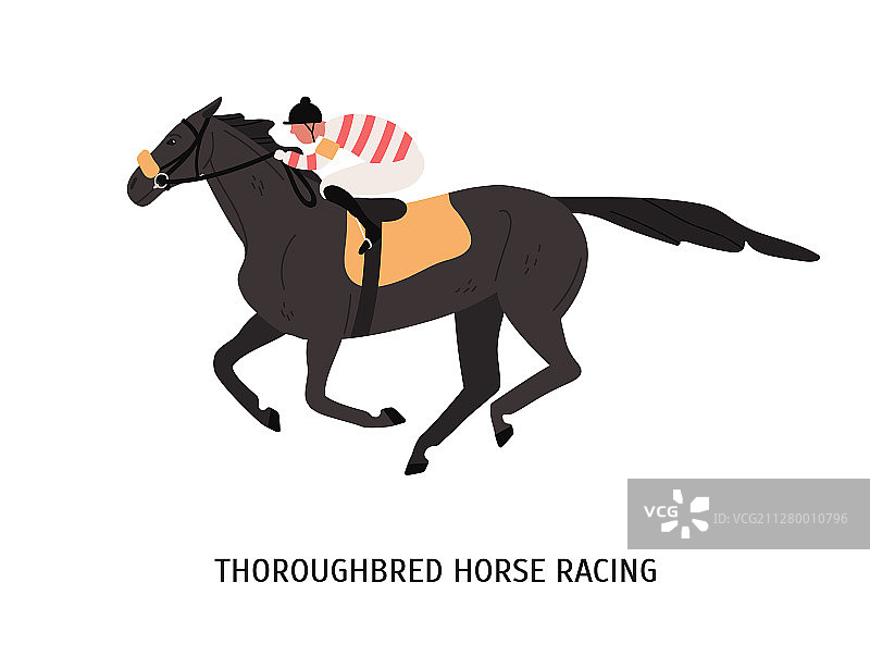 纯种赛马比赛扁平设计图片素材
