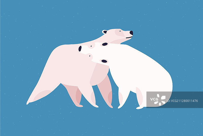 扁平风格的北极熊情侣图片素材