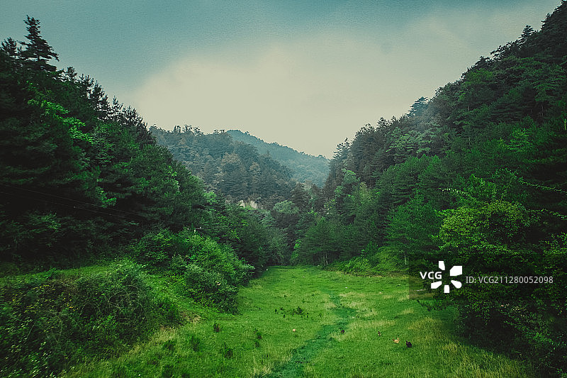 广元曾家山清凉的醉人图片素材