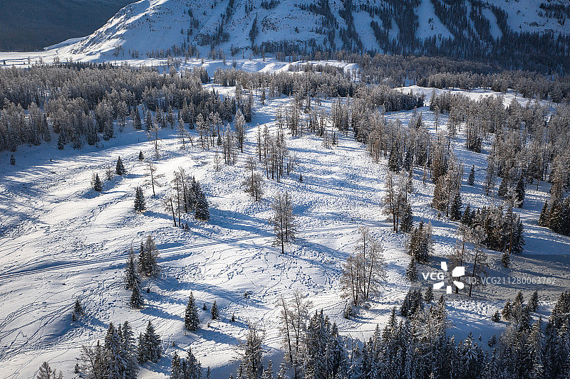 冬季喀纳斯森林里的雪景图片素材