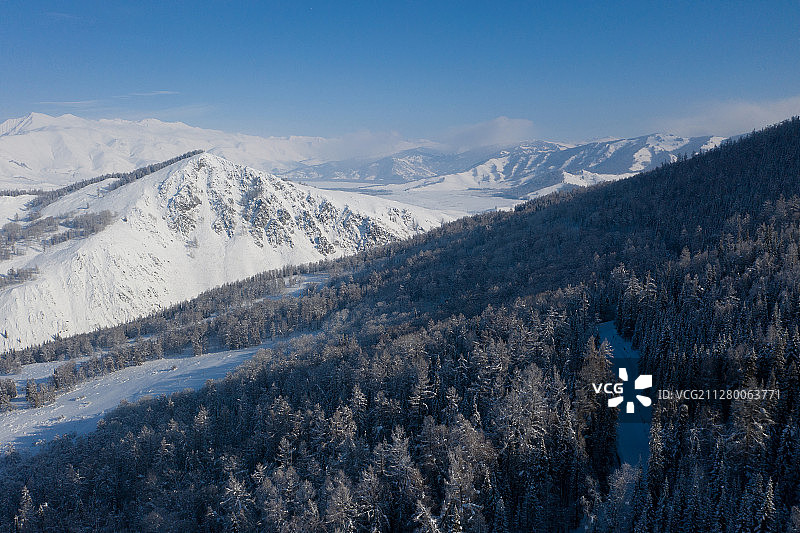 冬季喀纳斯森林里的雪景图片素材
