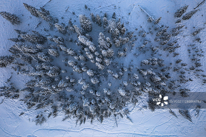 冬季喀纳斯森林里的冰河与雪地图片素材
