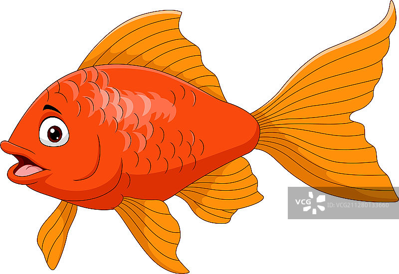 白色背景上卡通金鱼图片素材