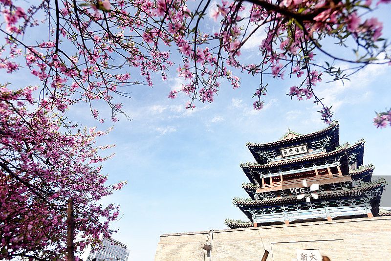 河北宣化：古城四月花芬芳图片素材