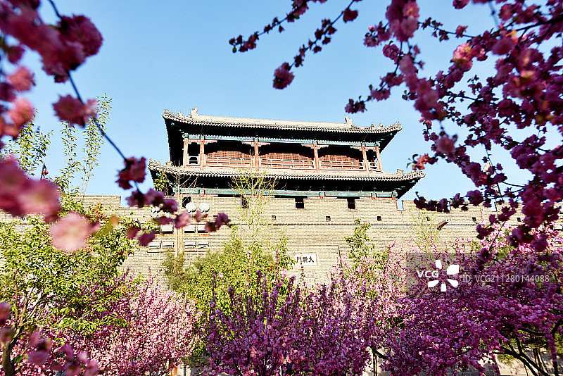 河北宣化：古城四月花芬芳图片素材