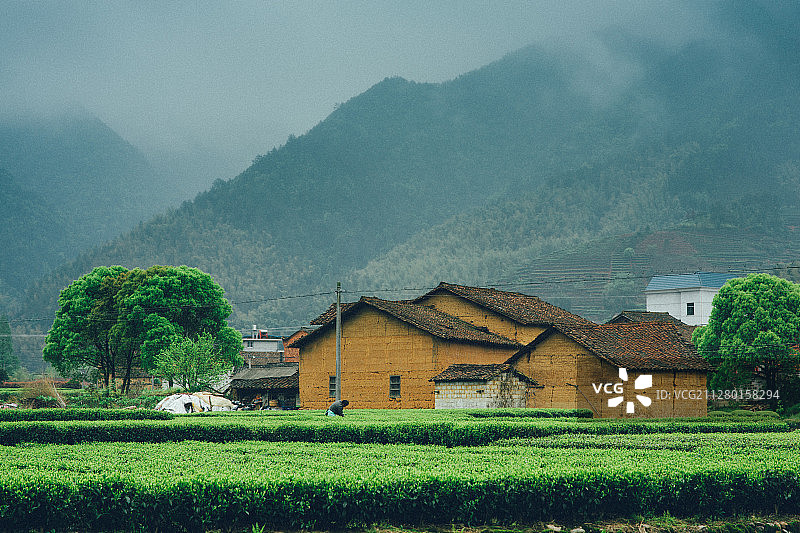 烟雨江南花样遂昌 最美乡村图片素材