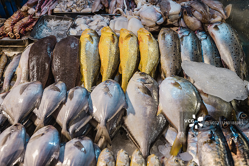 菜市场内摆放整齐的待出售的鱼图片素材