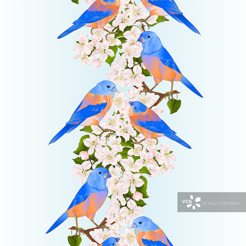 蓝色小鸟竖版无缝背景边框图片素材