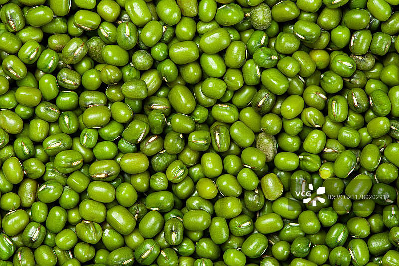 绿豆图片素材