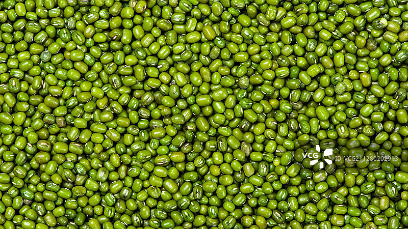 绿豆图片素材