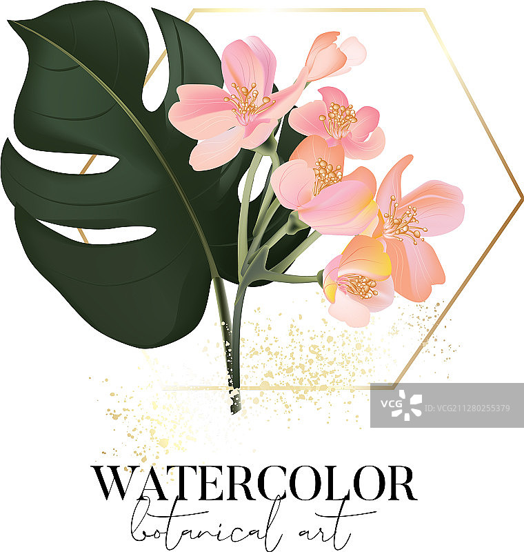 手绘水彩龟背竹叶图片素材