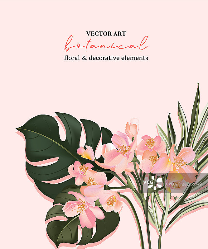 异域风情花鸟植物图片素材