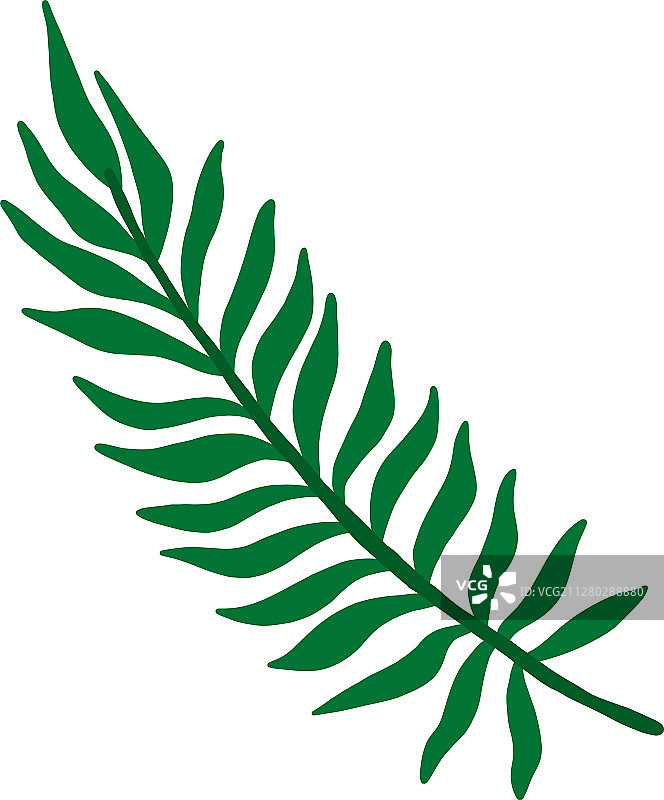 程式化棕榈叶图片素材