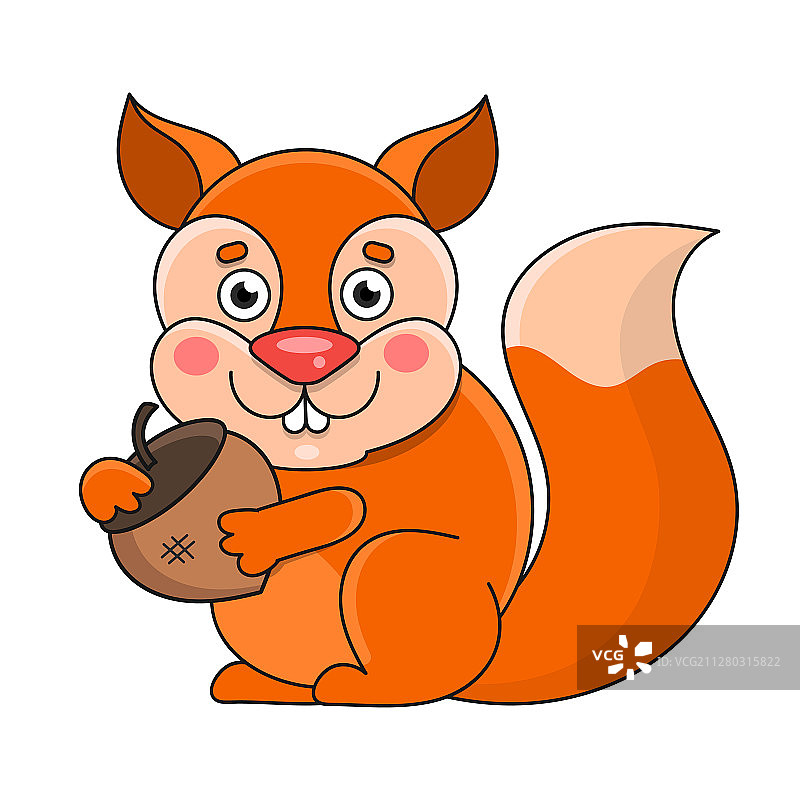 白色背景上的松鼠图片素材