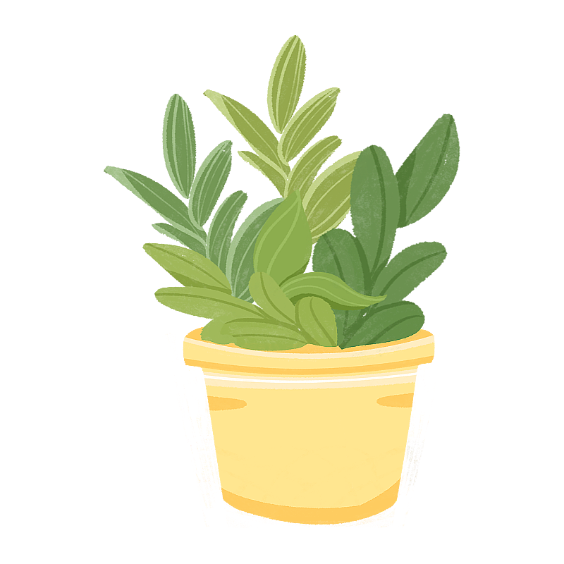 盆栽植物图片素材