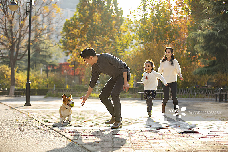 快乐的年轻家庭和宠物狗在户外玩耍图片素材