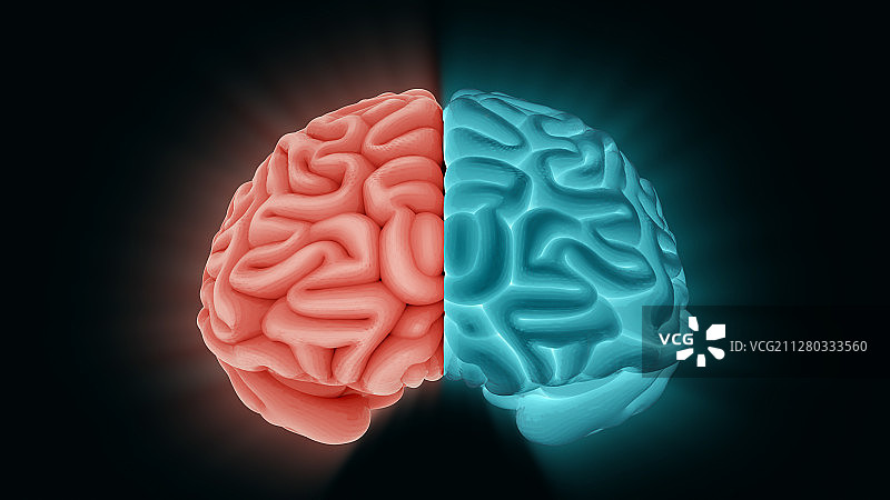 大脑图片素材