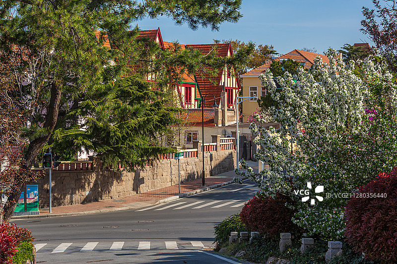 青岛八大关春天图片素材