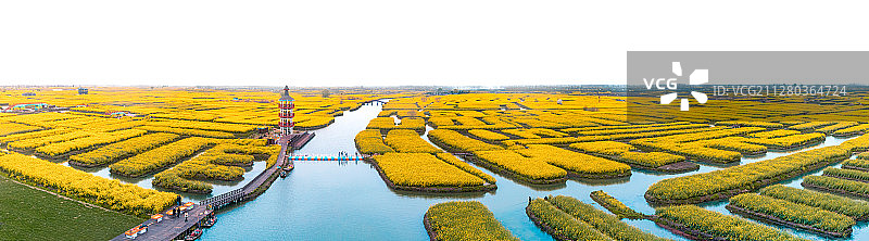 兴化千垛景区图片素材