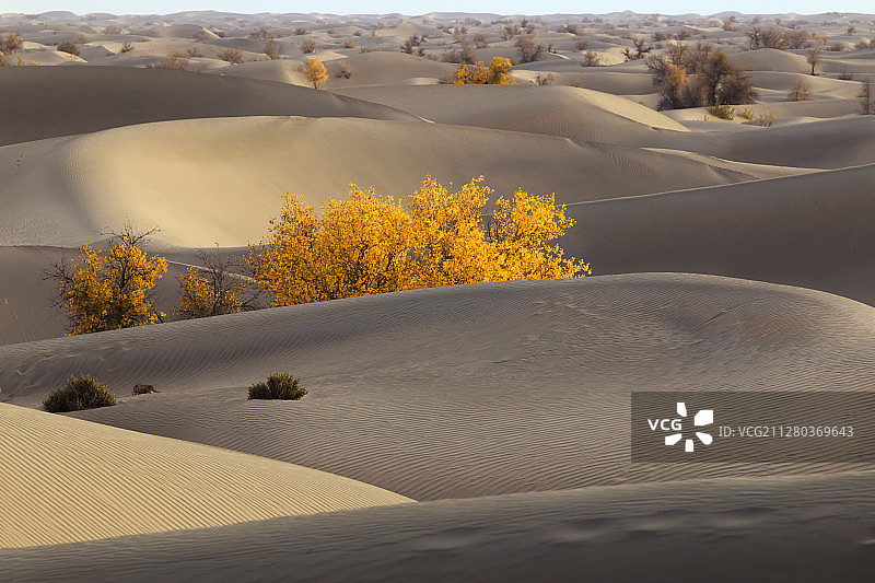 层层叠叠图片素材