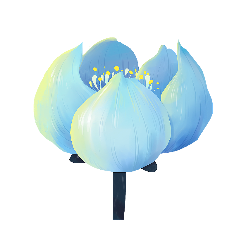 蓝色花朵图片素材