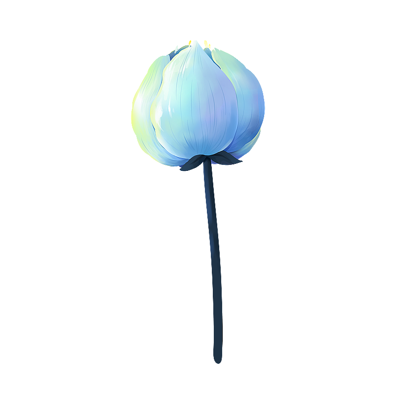 蓝色花朵图片素材