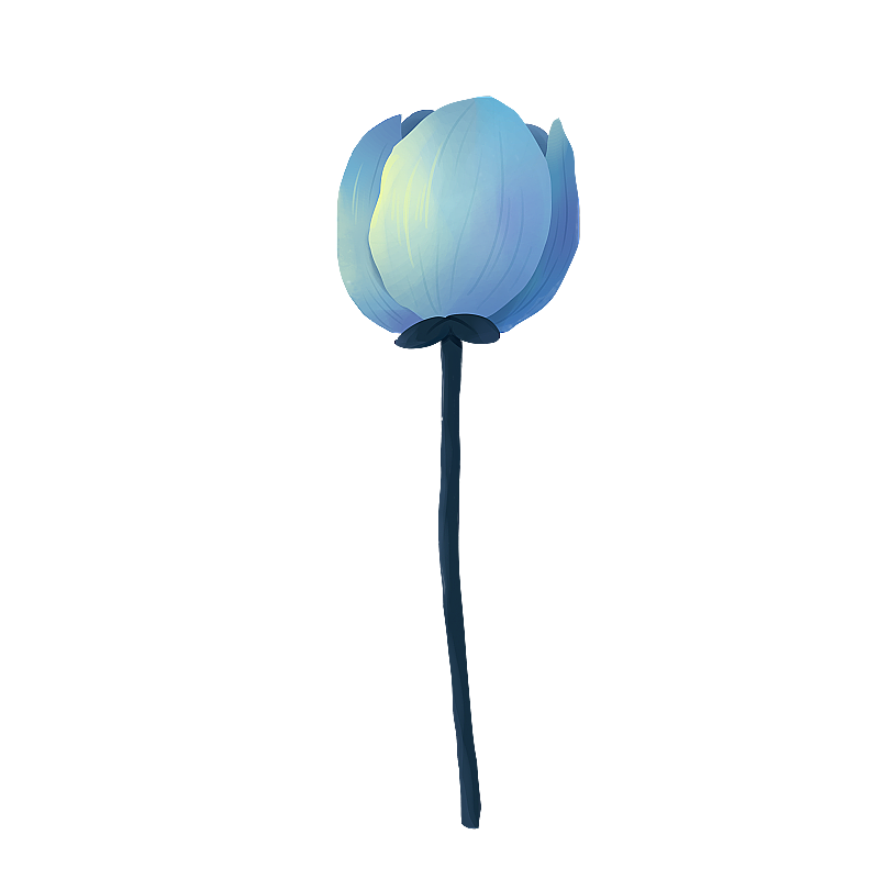 蓝色花朵图片素材