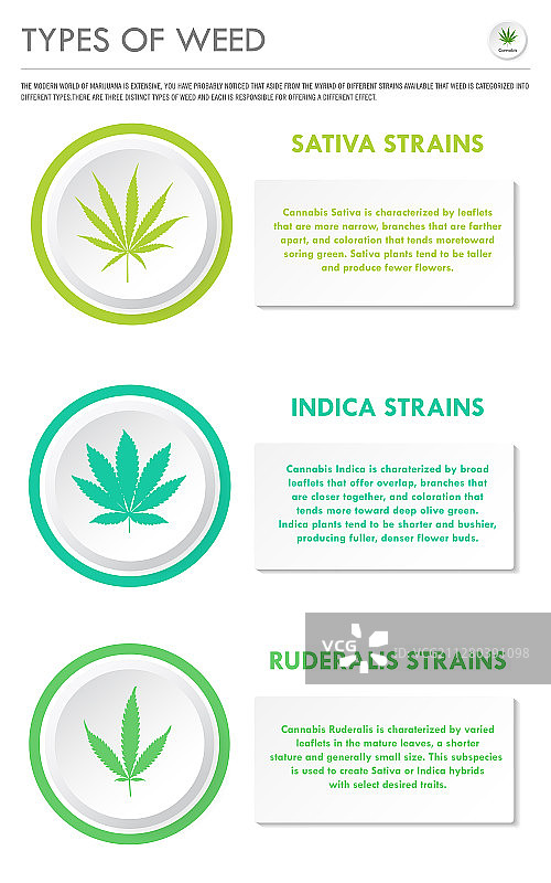 杂草垂直商业信息图图片素材