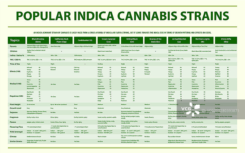 流行的印度大麻品种横幅图片素材