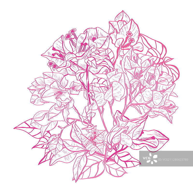 手绘花卉装饰图片素材