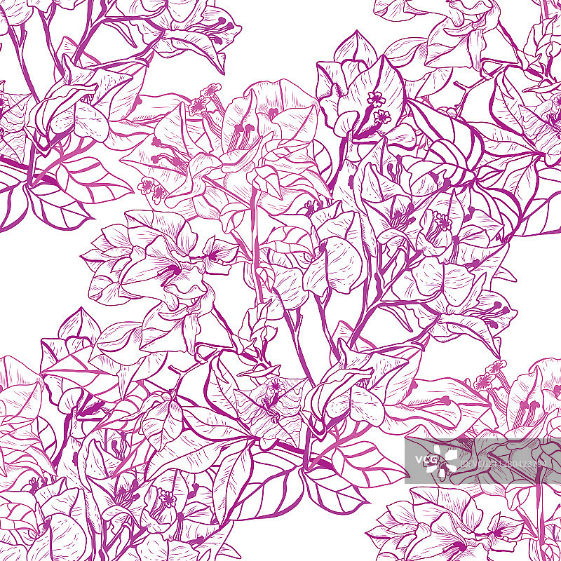 花卉无缝模式图片素材