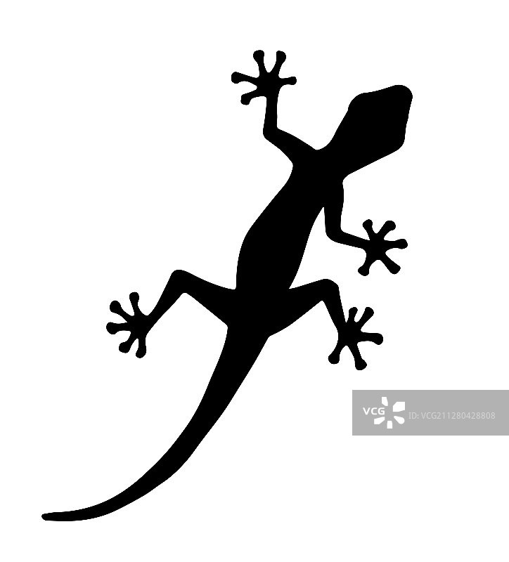 黑色壁虎蜥蜴轮廓图片素材