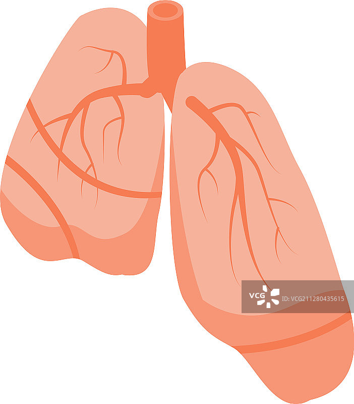 人体肺部图标2.5D风格图片素材