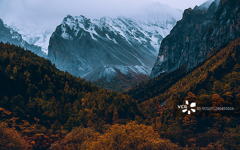 秋意秋渐浓2图片素材