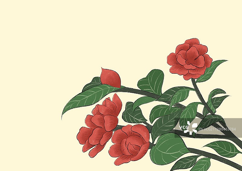 大雪-茶花图片素材