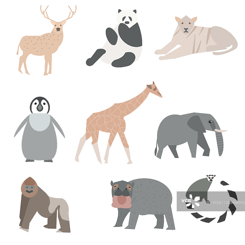 动物图片素材