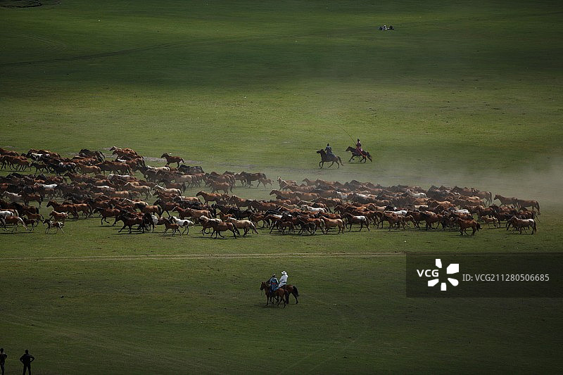 《万马奔腾》图片素材