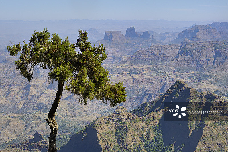 埃塞俄比亚阿姆哈拉州，世界遗产，锡门山国家公园图片素材