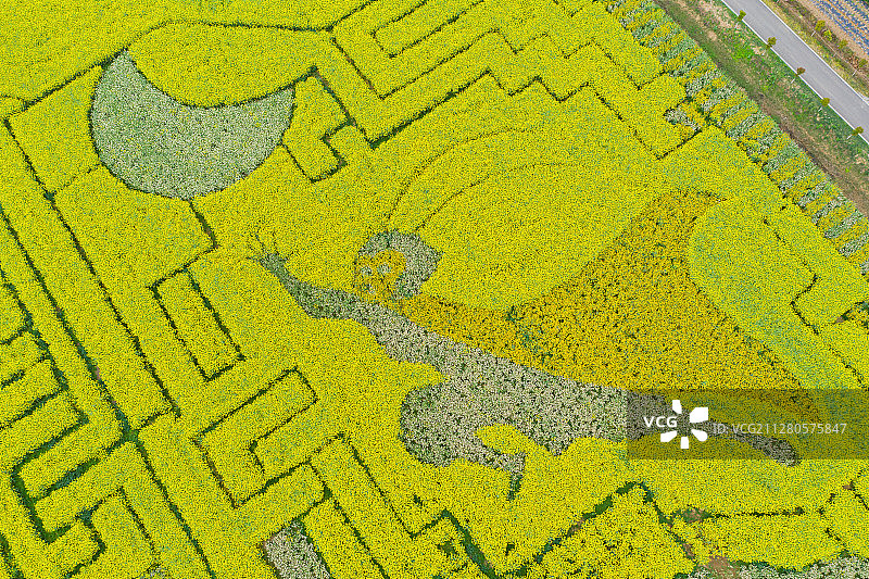 湖北省天门市黄潭镇知青农场大地画卷图片素材