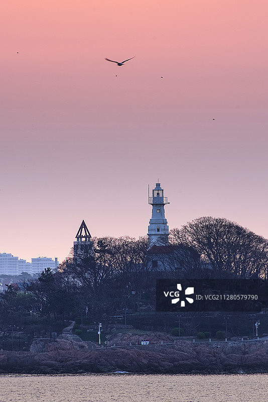 晨光里的小青岛公园图片素材