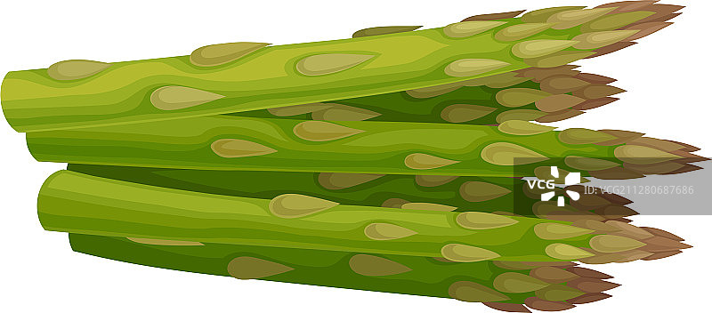 新鲜绿色芦笋图片素材