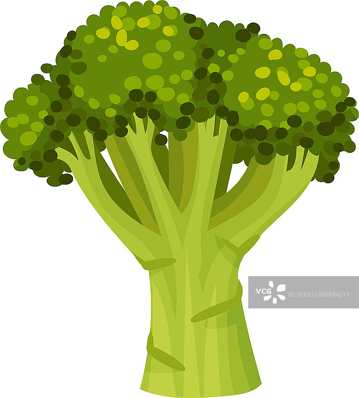 新鲜绿色西兰花图片素材