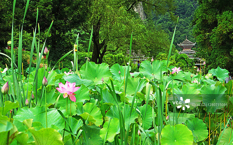 贵阳阿哈湖国家湿地公园(5)-贵阳市图片素材