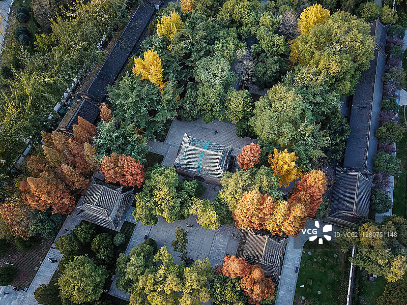 中国陕西西安小雁塔图片素材