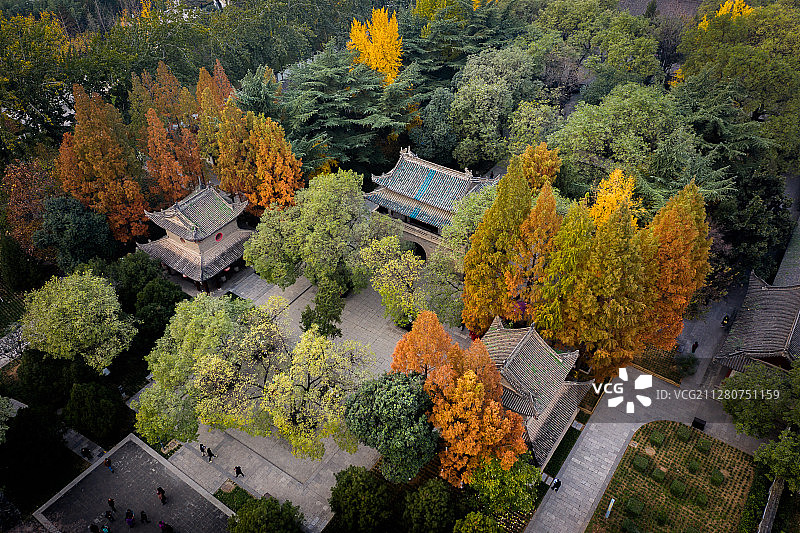 中国陕西西安小雁塔图片素材