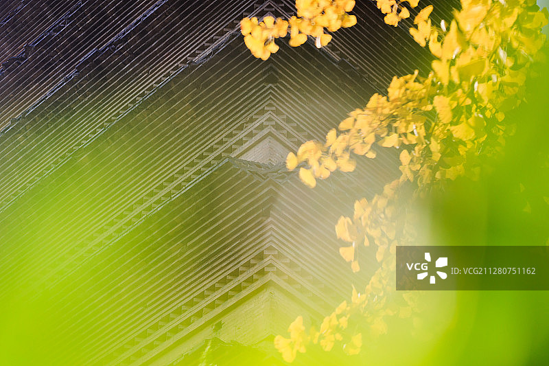 中国陕西西安小雁塔图片素材