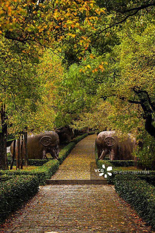 南京明孝陵风光图片素材