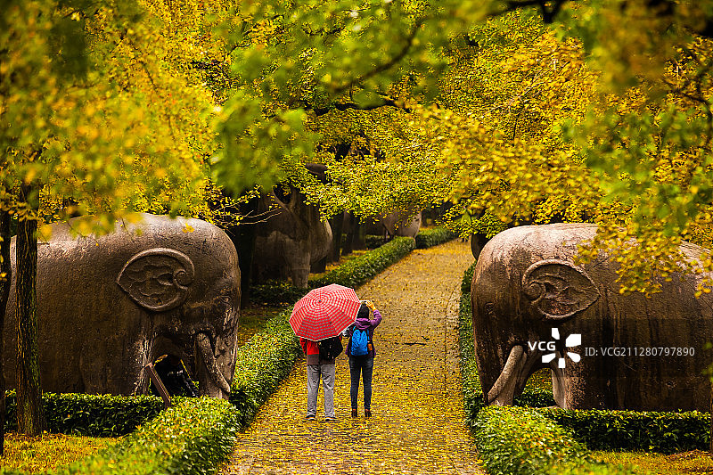 南京明孝陵风光图片素材