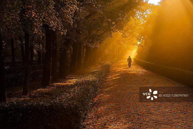 南京明孝陵风光图片素材